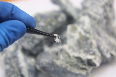 Asbestos Inspection Service in Morris County, NJ