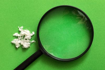 Asbestos Inspection Service