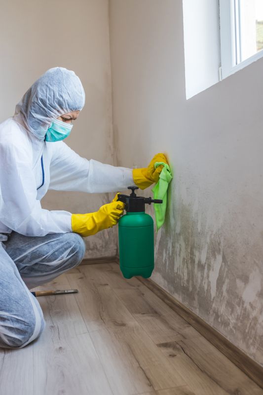 Attic Mold Remediation in Fort Worth, TX