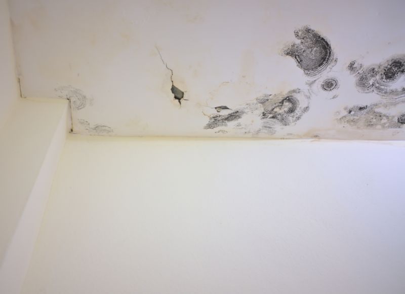 Attic Mold Remediation in Essex County, NJ