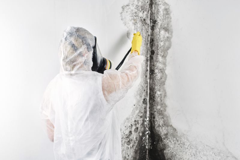 Basement Mold Remediation in Frisco, TX