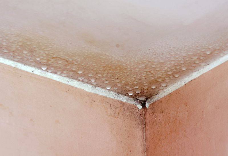Basement Mold Removal in Fort Worth, TX