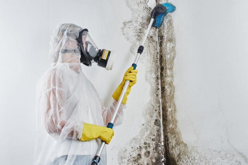 Black Mold Remediation in Frisco, TX