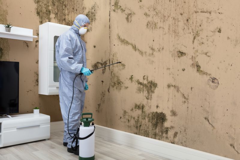 Black Mold Removal in Mckinney, TX
