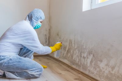 Crawl Space Mold Removal in Frisco, TX