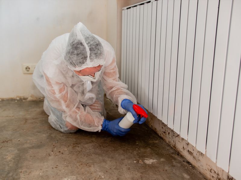 Crawlspace Mold Remediation in Boca Raton, FL