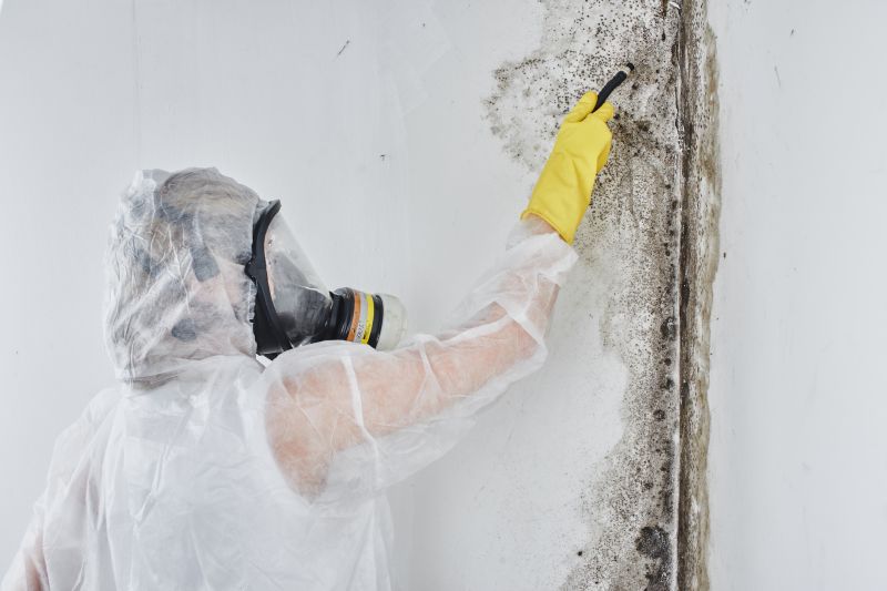 Mold Abatement in Pompano Beach, FL