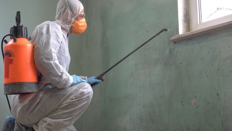 Mold Abatement in Bergen County, NJ