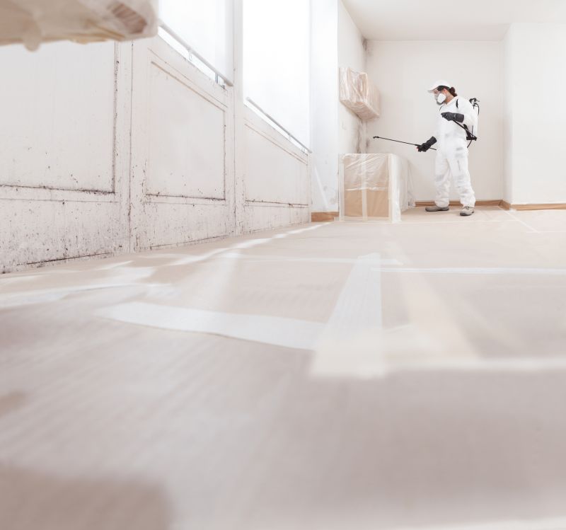 Mold Abatement Service in Essex County, NJ