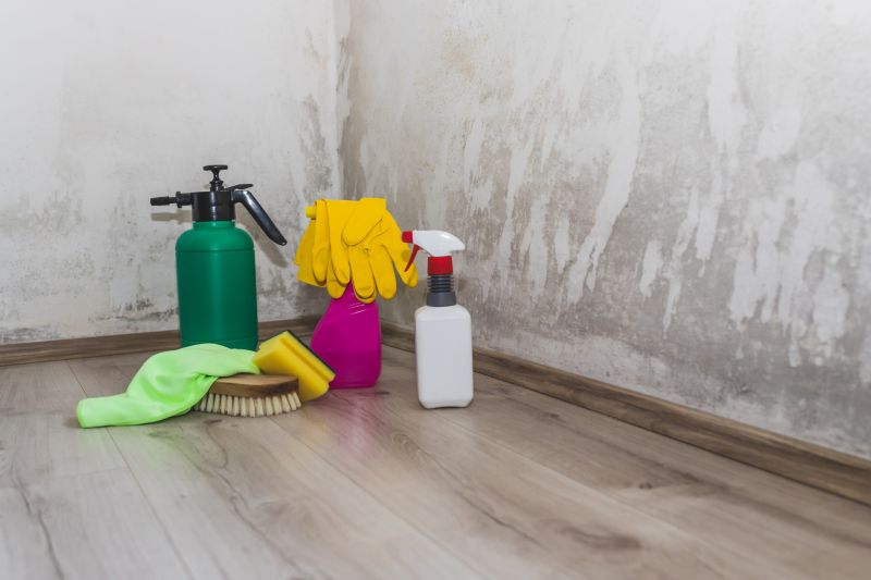 Mold Abatement Service in Fort Worth, TX