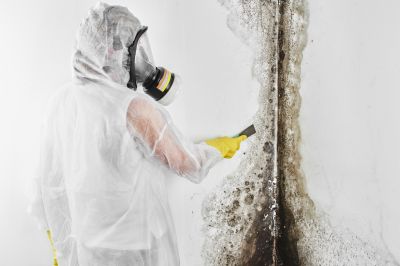 Mold Cleanup Service in West Palm Beach, FL