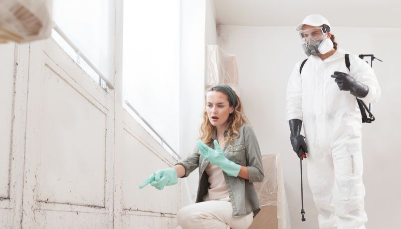 Mold Cleanup Service in Boca Raton, FL