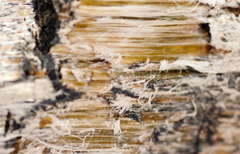 Vermiculite Remediation in Morris County, NJ