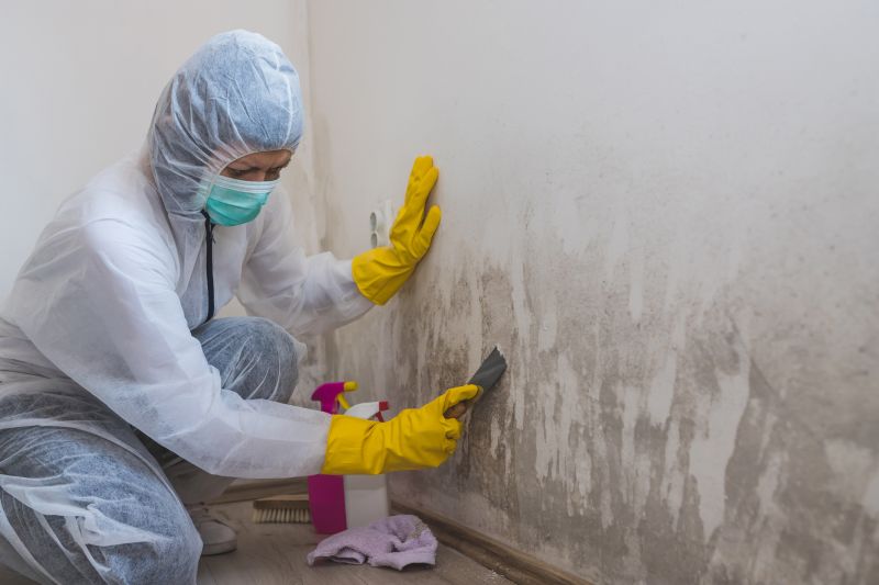White Mold Mitigation in Fort Worth, TX