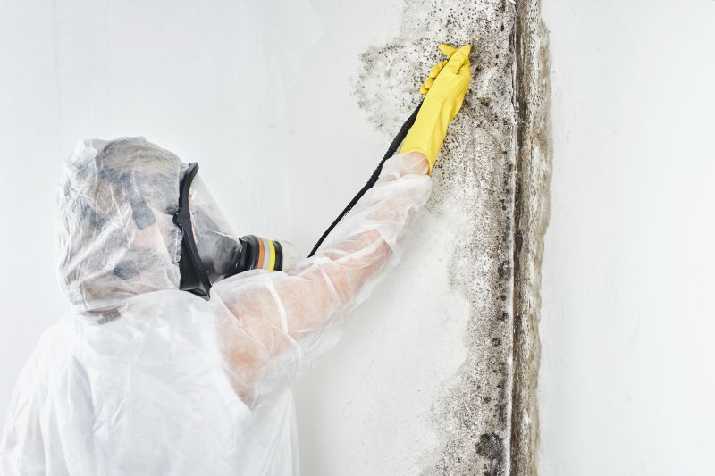 Black Mold Removal in Weatherford, TX