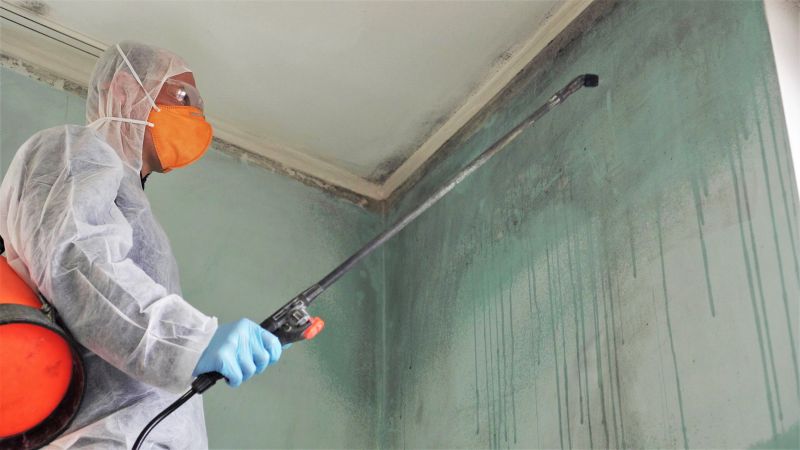 Mold Cleanup Service in Broward County, FL