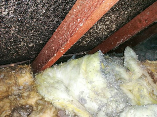 Asbestos Insulation Removal
