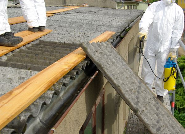 Grow your Asbestos Inspection Service business